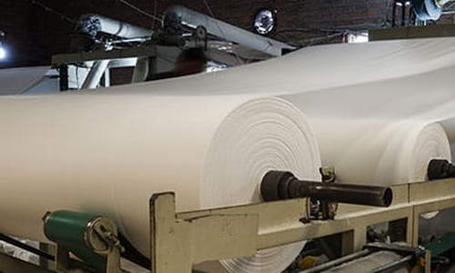 Paper & Pulp